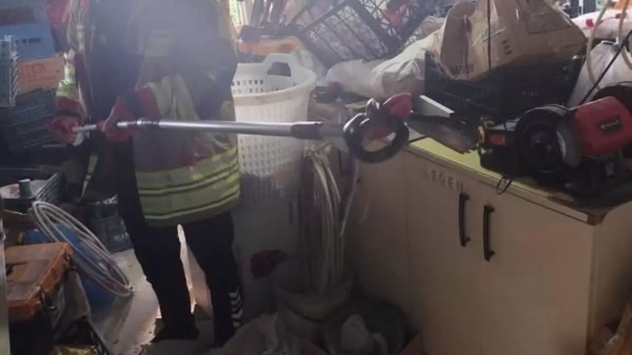 Havalar ısındı, yılanlar ortaya çıktı! 4