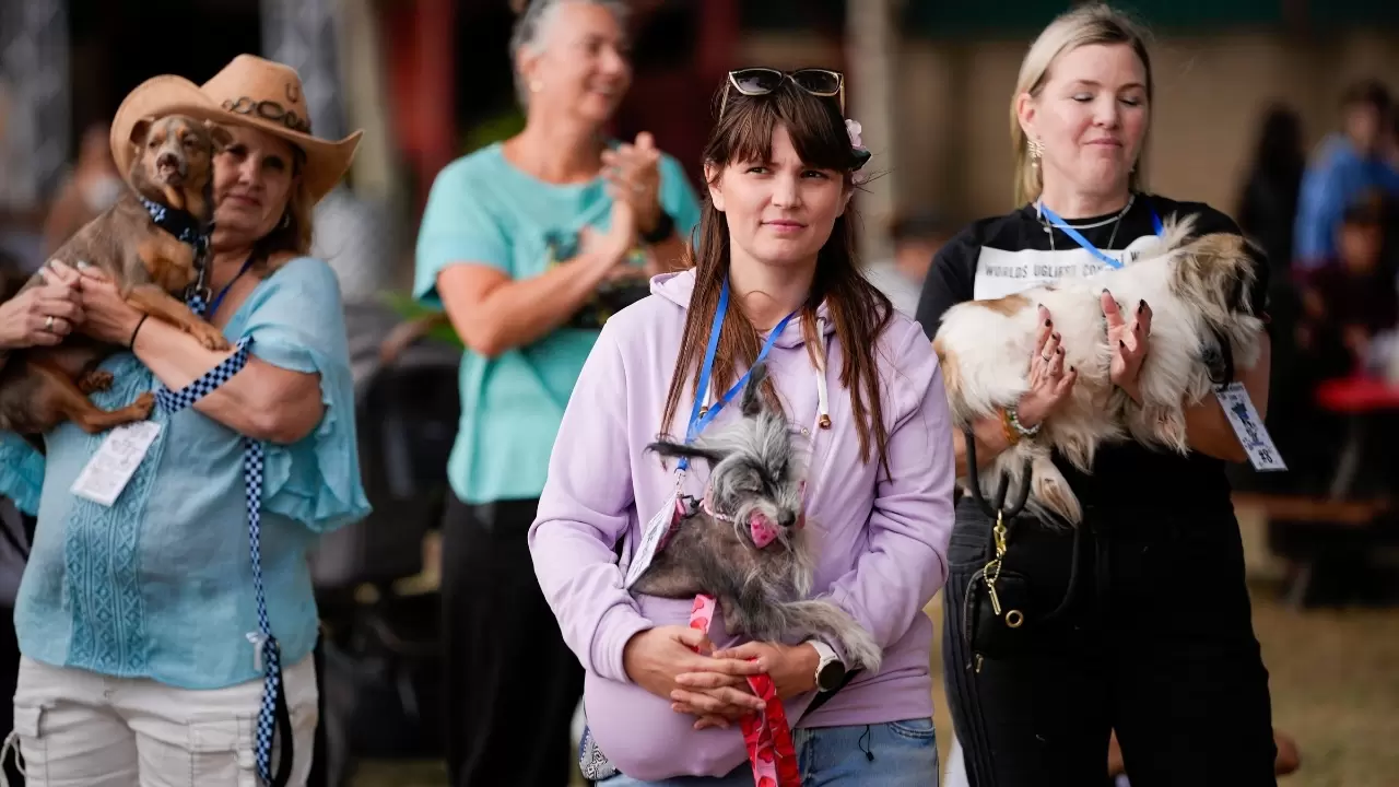 Dünyanın en çirkin köpeği seçildi 11