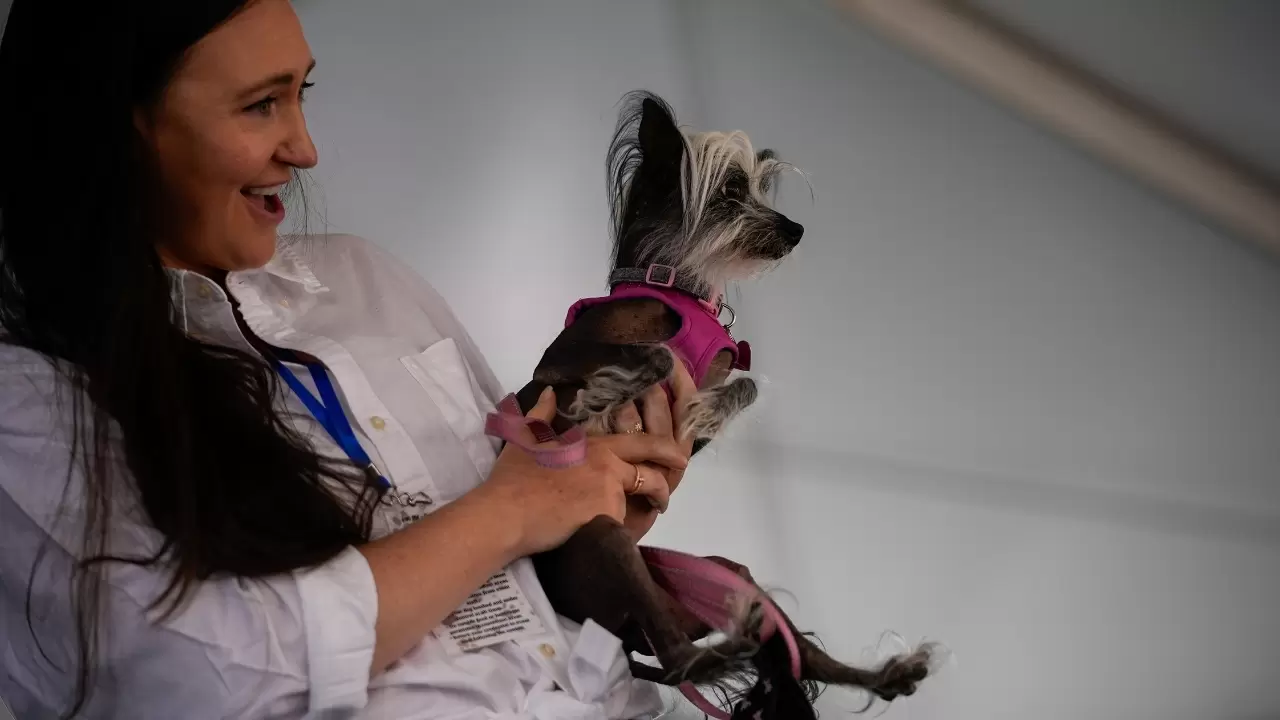 Dünyanın en çirkin köpeği seçildi 7