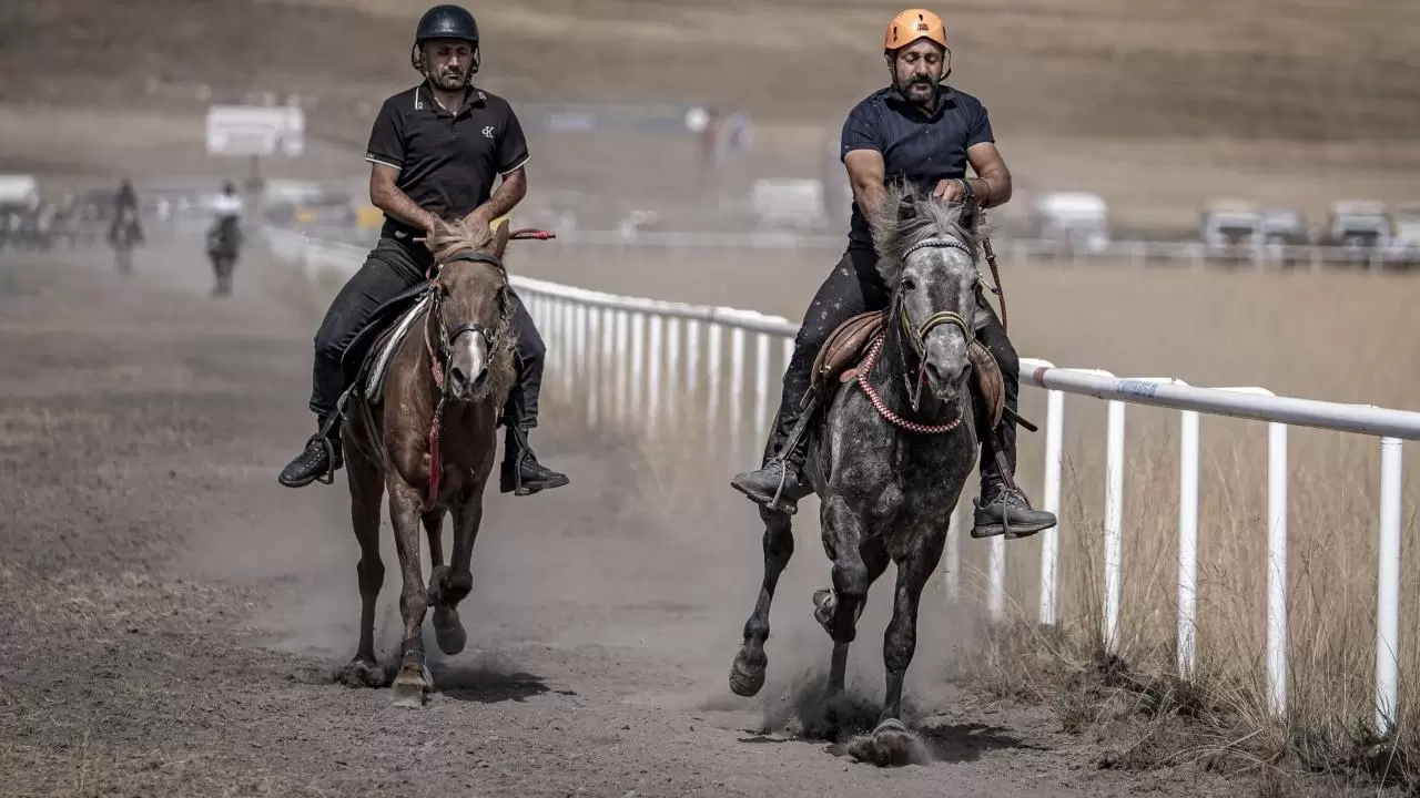 Rahvan atlar Erzurum’da piste çıktı! 20 ilden 120 sporcu yarıştı 8