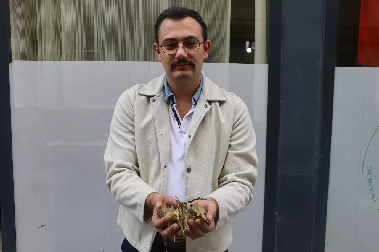 Atom bombasından kurtulan bitki! Öğrenciler bardak bardak içiyor 1