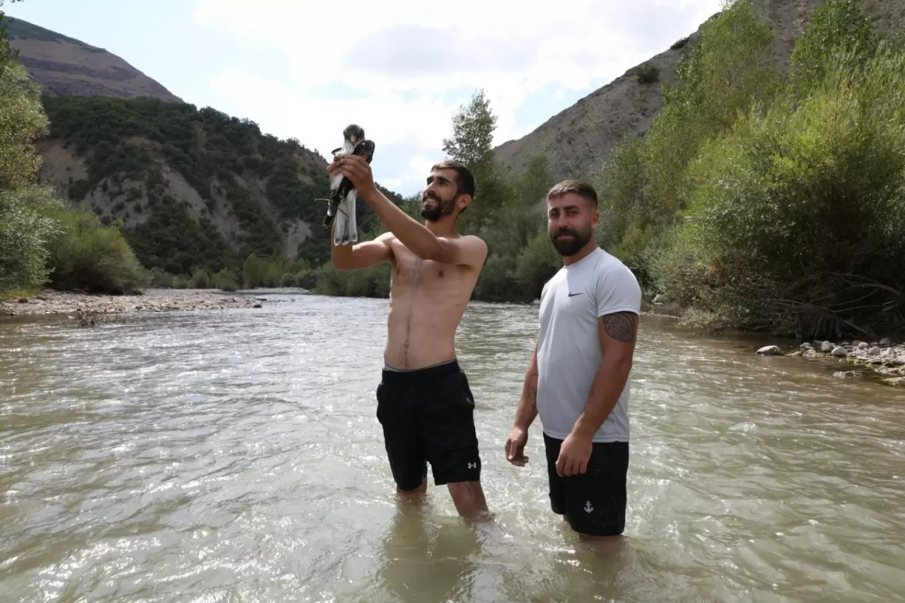 Kızıl şahinin imdadına 3 arkadaş yetişti 5