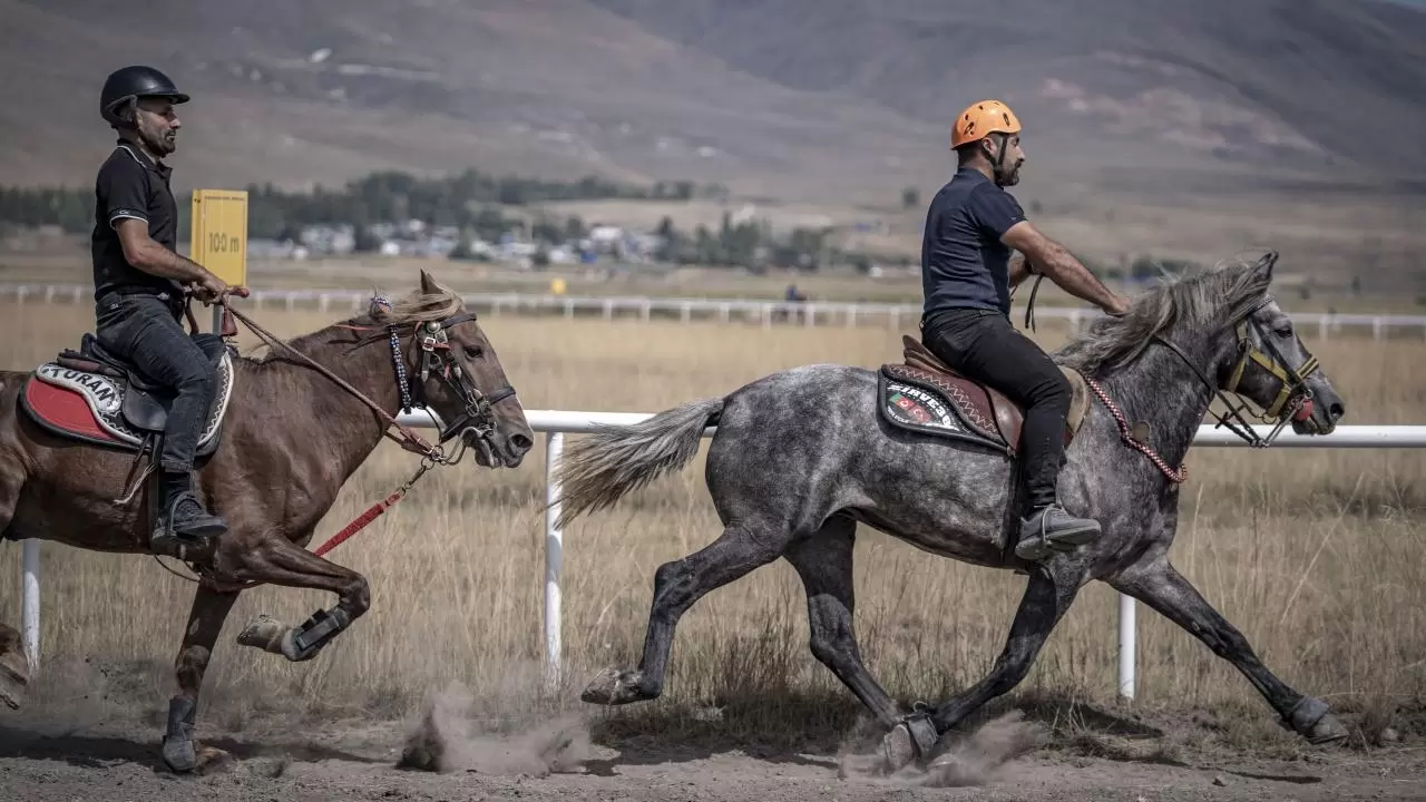 Rahvan atlar Erzurum’da piste çıktı! 20 ilden 120 sporcu yarıştı 2