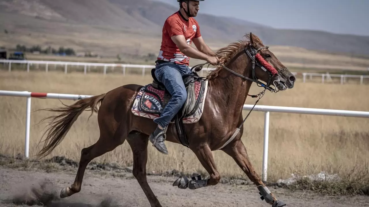 Rahvan atlar Erzurum’da piste çıktı! 20 ilden 120 sporcu yarıştı 6