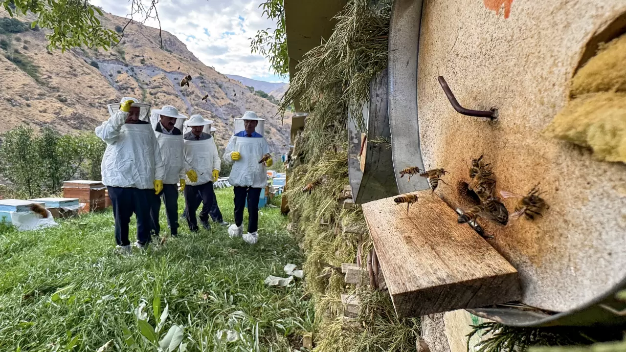 Van’da 2 bin 700 metre rakımda bal hasadı başladı 5
