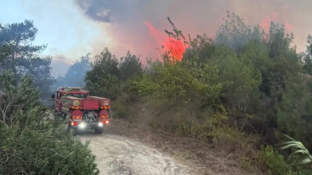 Jandarma yolları trafiğe kapattı 1