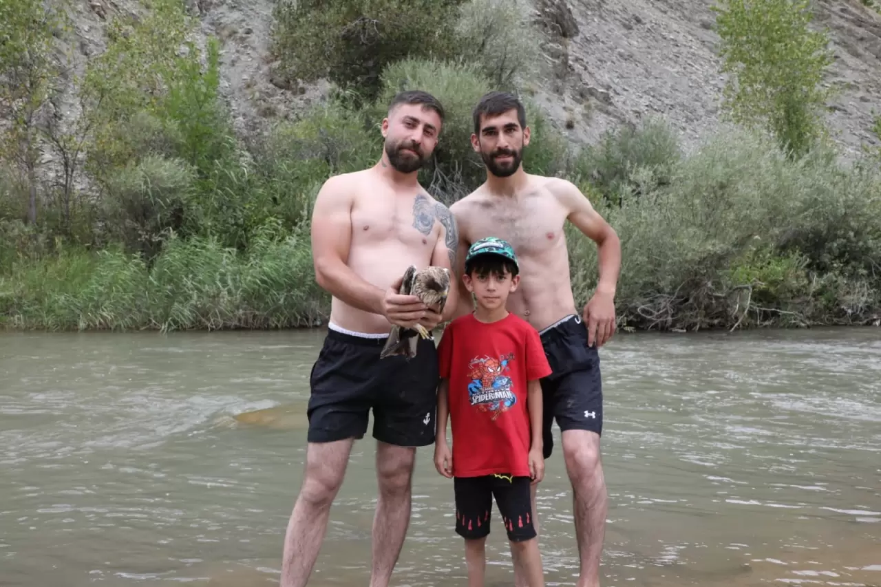 Kızıl şahinin imdadına 3 arkadaş yetişti 7