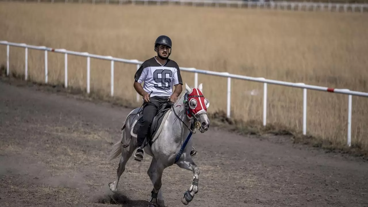 Rahvan atlar Erzurum’da piste çıktı! 20 ilden 120 sporcu yarıştı 5