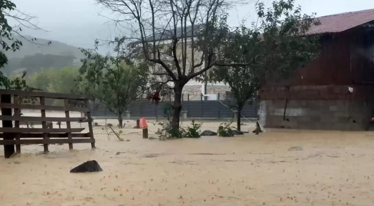 Sakarya’da felaketin bilançosu artıyor! Kocaali’de 60 bin tavuk telef oldu 1