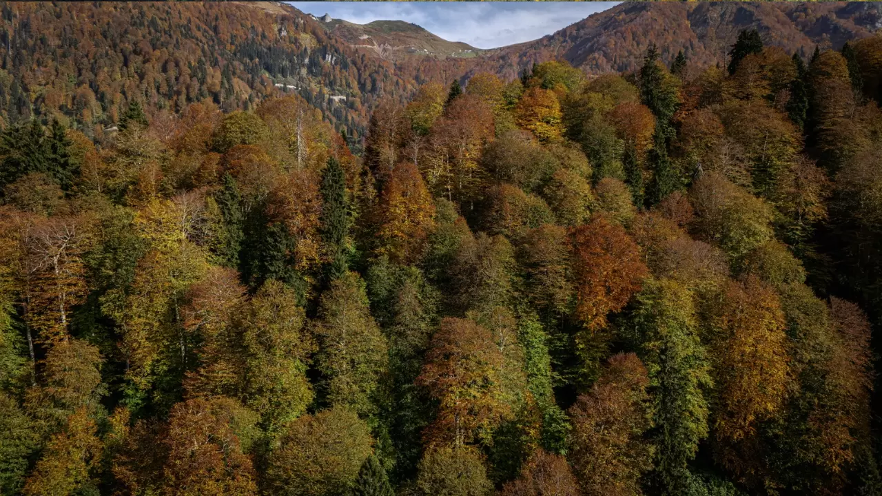 Artvin Borçka Karagöl’de sonbahar renkleri dronla görüntülendi 3