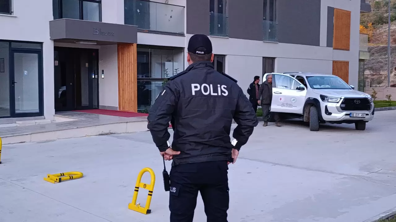 Amasya’da sitede yaban domuzu paniği 2