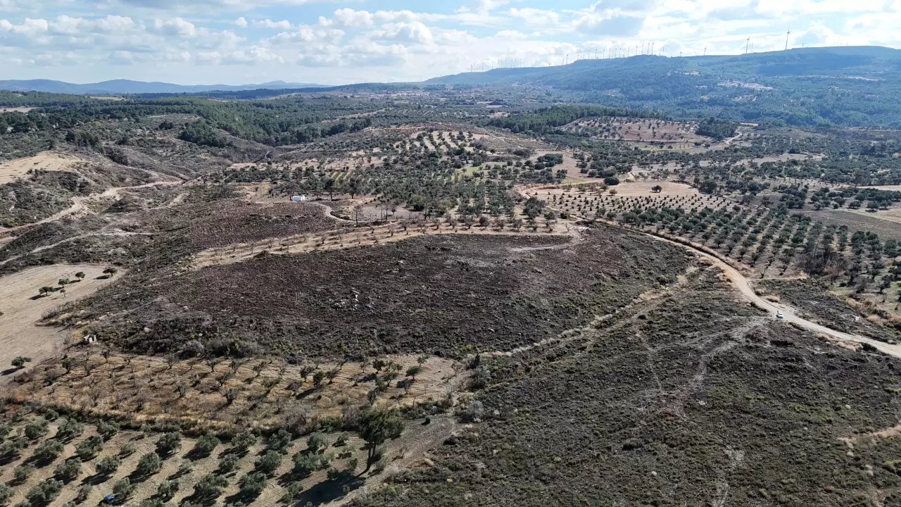 Çanakkale'deki dev orman yangını sonrası yeşeren alanlar havadan görüntülendi 1