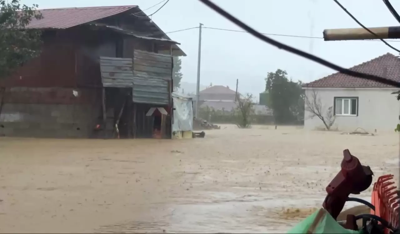 Sakarya’da felaketin bilançosu artıyor! Kocaali’de 60 bin tavuk telef oldu 5