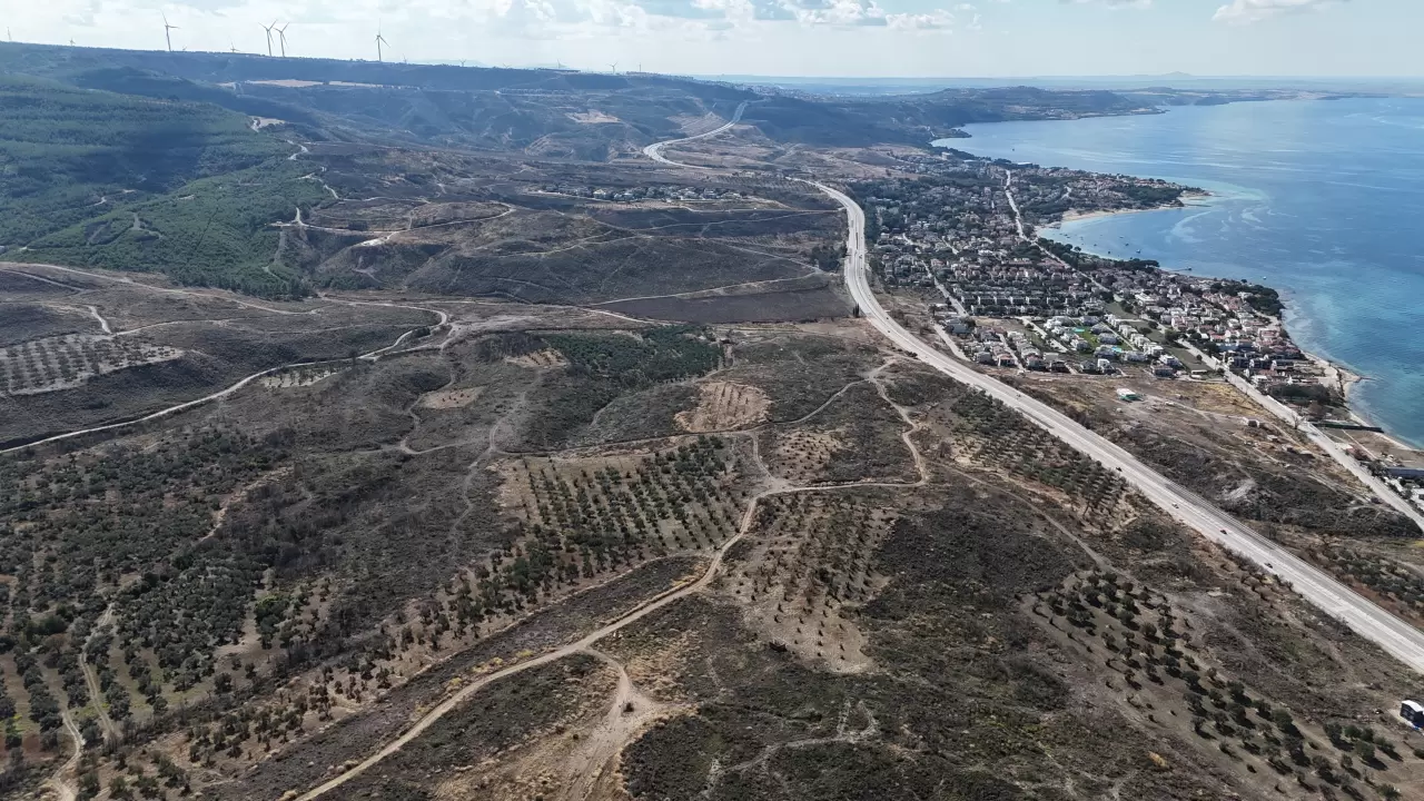 Çanakkale'deki dev orman yangını sonrası yeşeren alanlar havadan görüntülendi 6