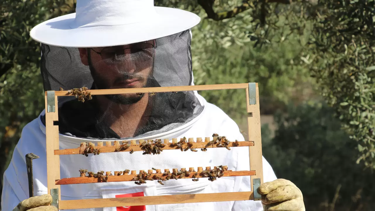 Altı yıllık teknoloji deneyimini arıcılıkla buluşturdu 3