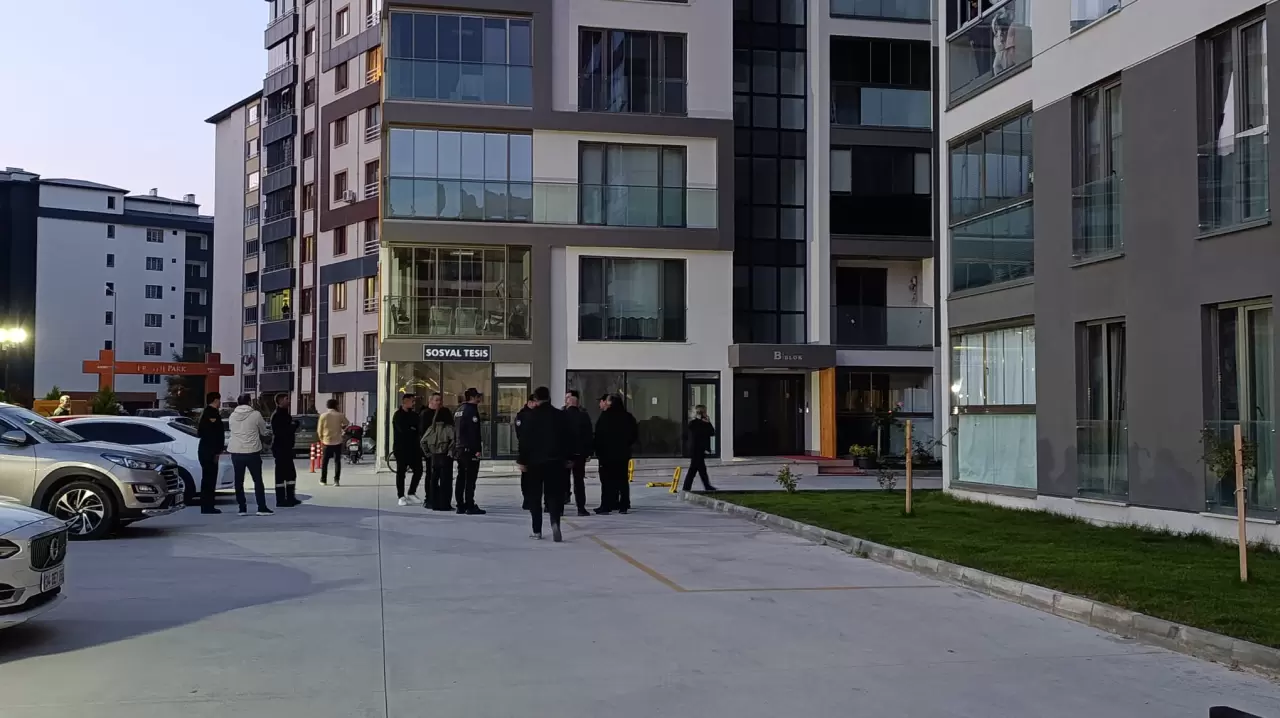Amasya’da sitede yaban domuzu paniği 3
