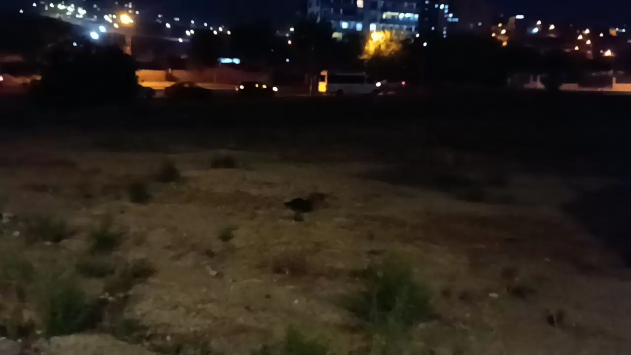 Gaziantep'te 16 yaşındaki çocuk cinayete kurban gitti 7