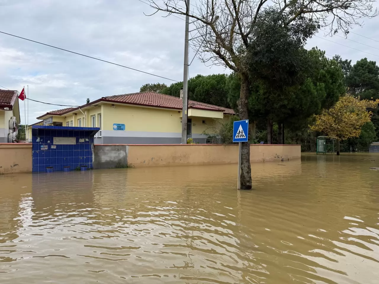 Sakarya'da sağanak sonrası Acarlar Longozu'nda su seviyeleri alarm veriyor! 6