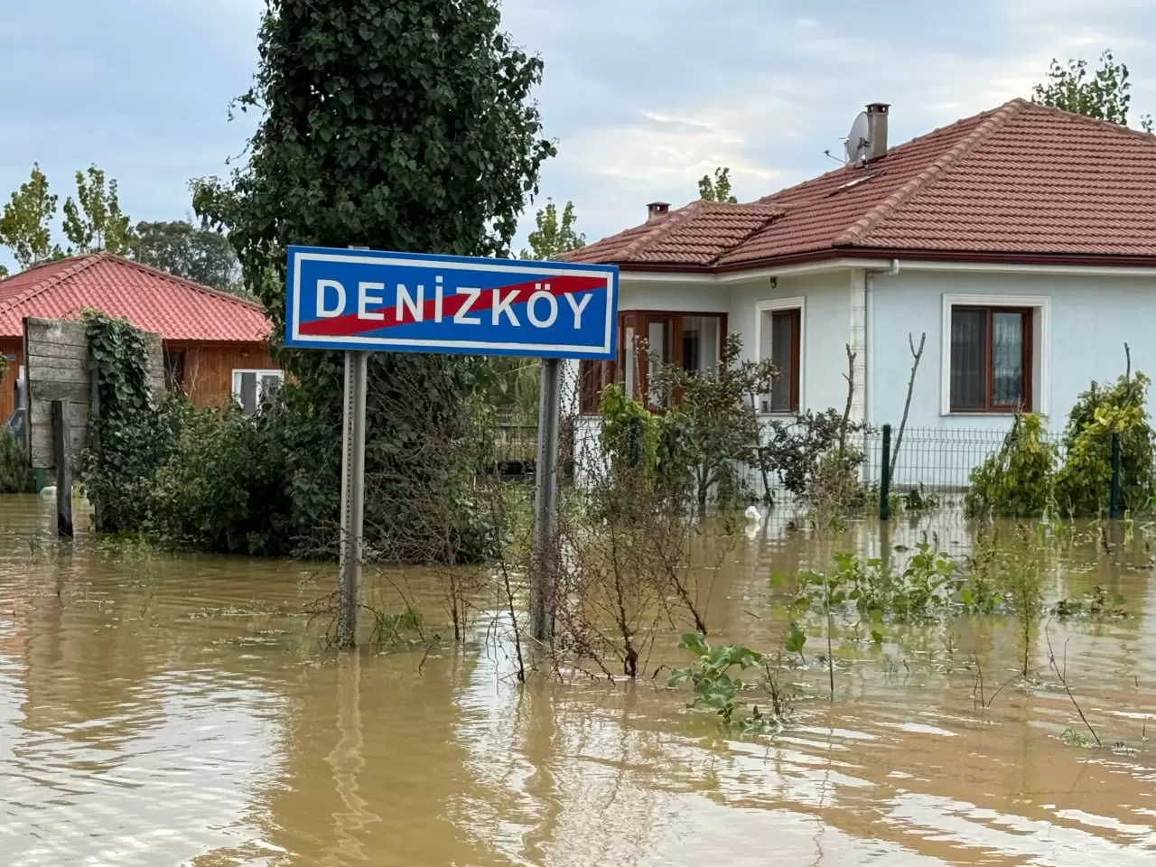 Sakarya'da sağanak sonrası Acarlar Longozu'nda su seviyeleri alarm veriyor! 1