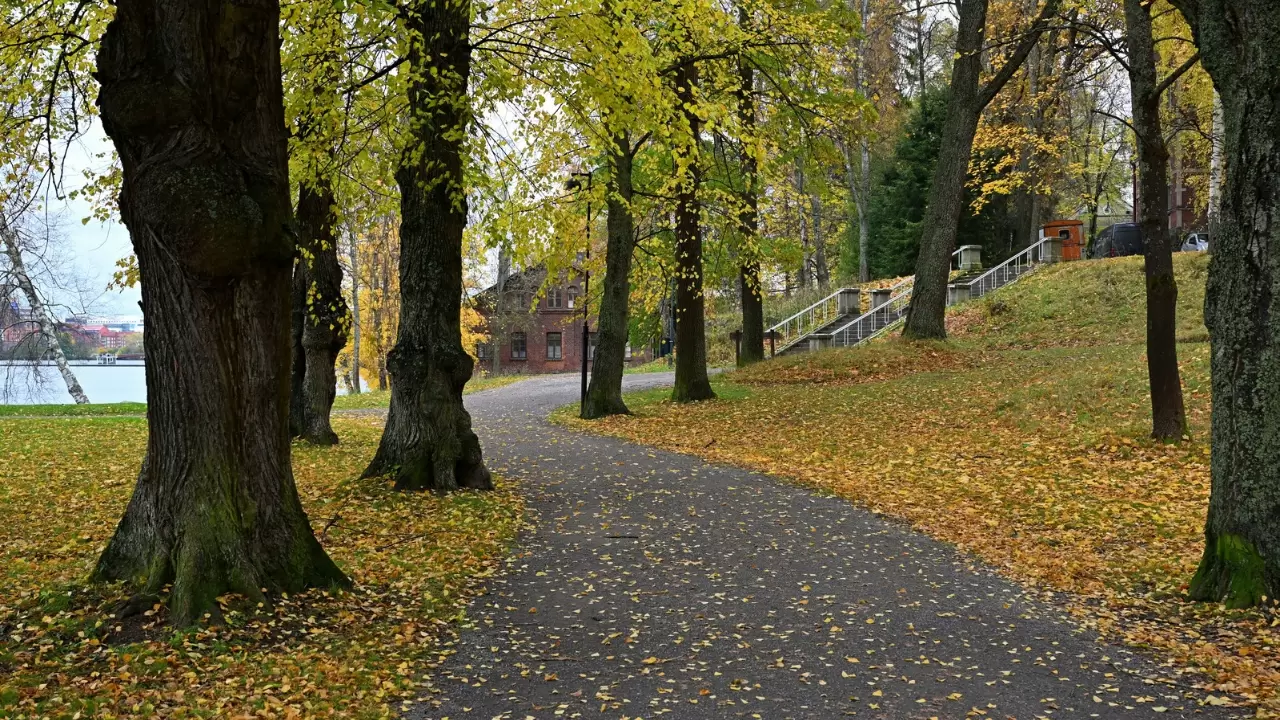 Tampere kent sakinleri bu manzaranın tadını çıkarıyor 7