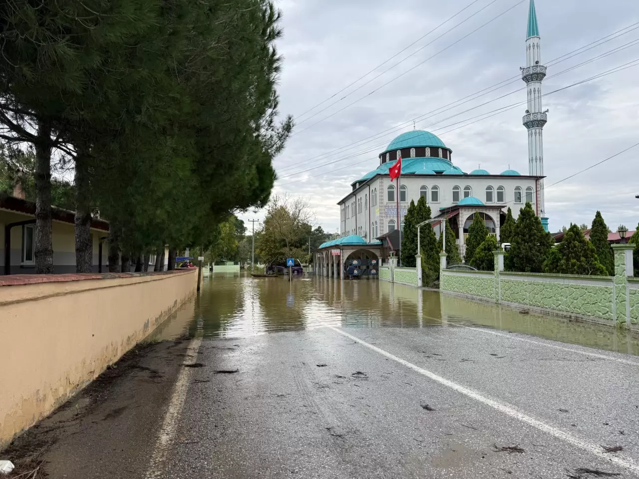 Sakarya'da sağanak sonrası Acarlar Longozu'nda su seviyeleri alarm veriyor! 7