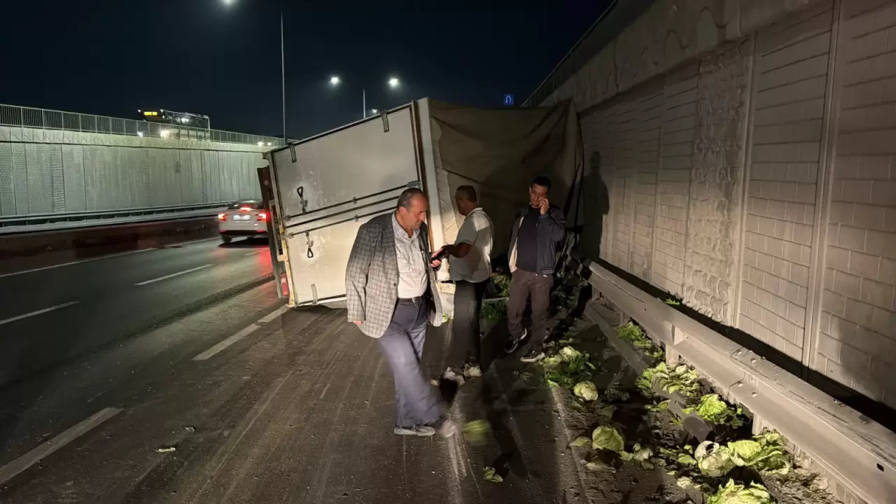 Yola fırlayan kedi kazaya neden oldu 9