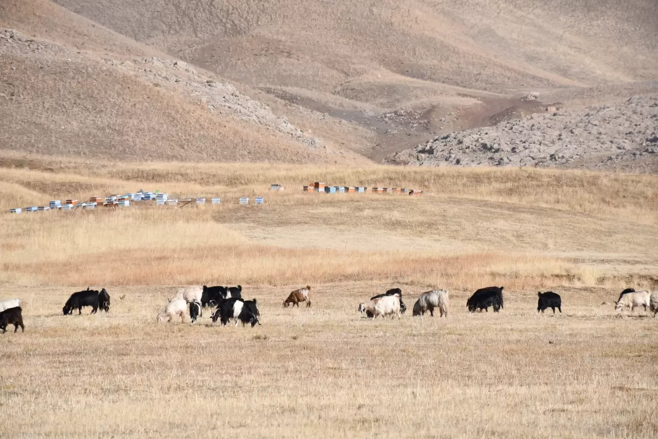 Şırnak Beytüşşebap’ta sis etkili oldu: Görüş mesafesi düştü 4