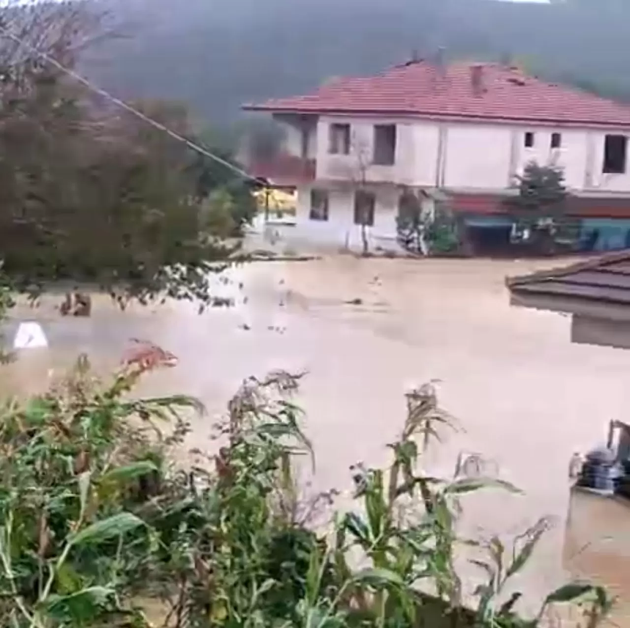 Sakarya’da felaketin bilançosu artıyor! Kocaali’de 60 bin tavuk telef oldu 3