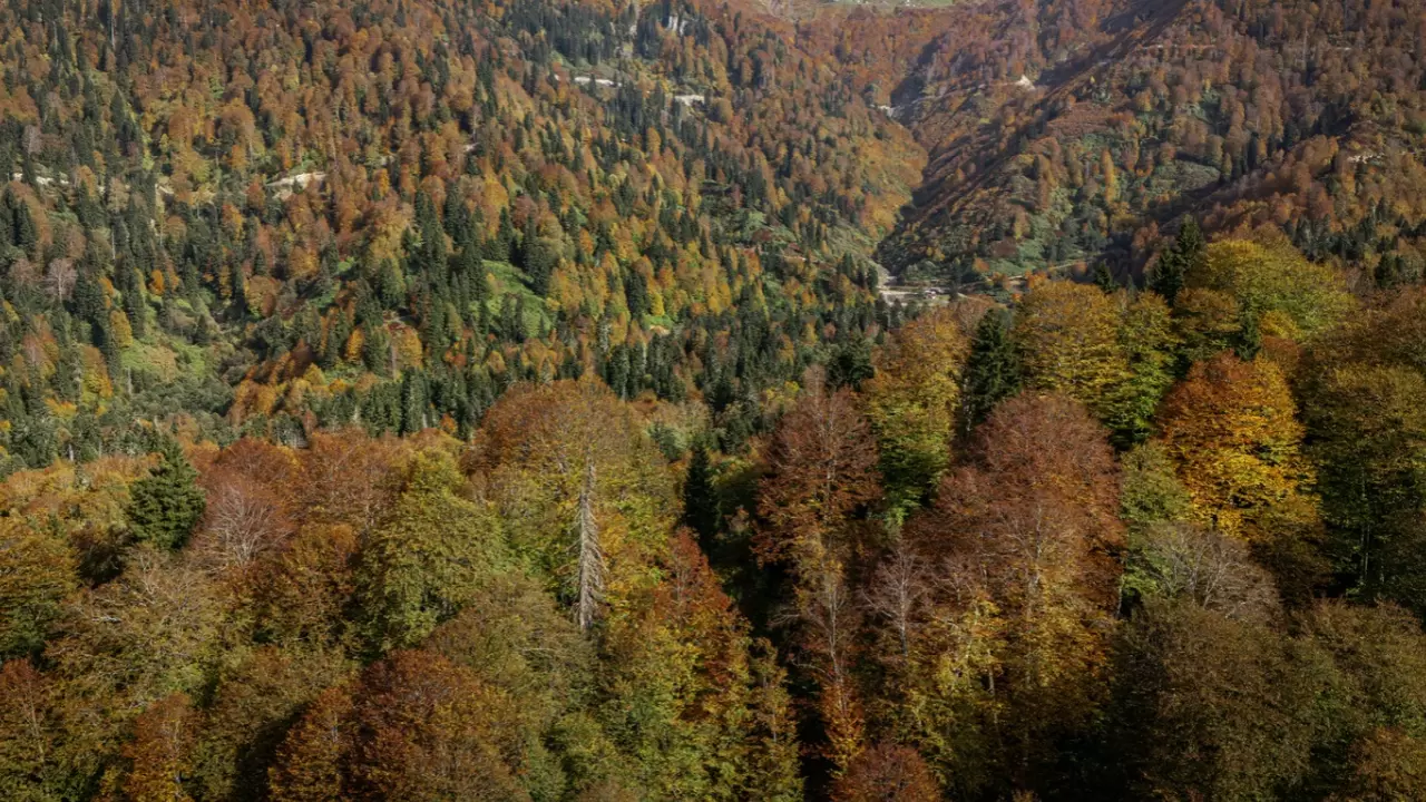 Artvin Borçka Karagöl’de sonbahar renkleri dronla görüntülendi 4