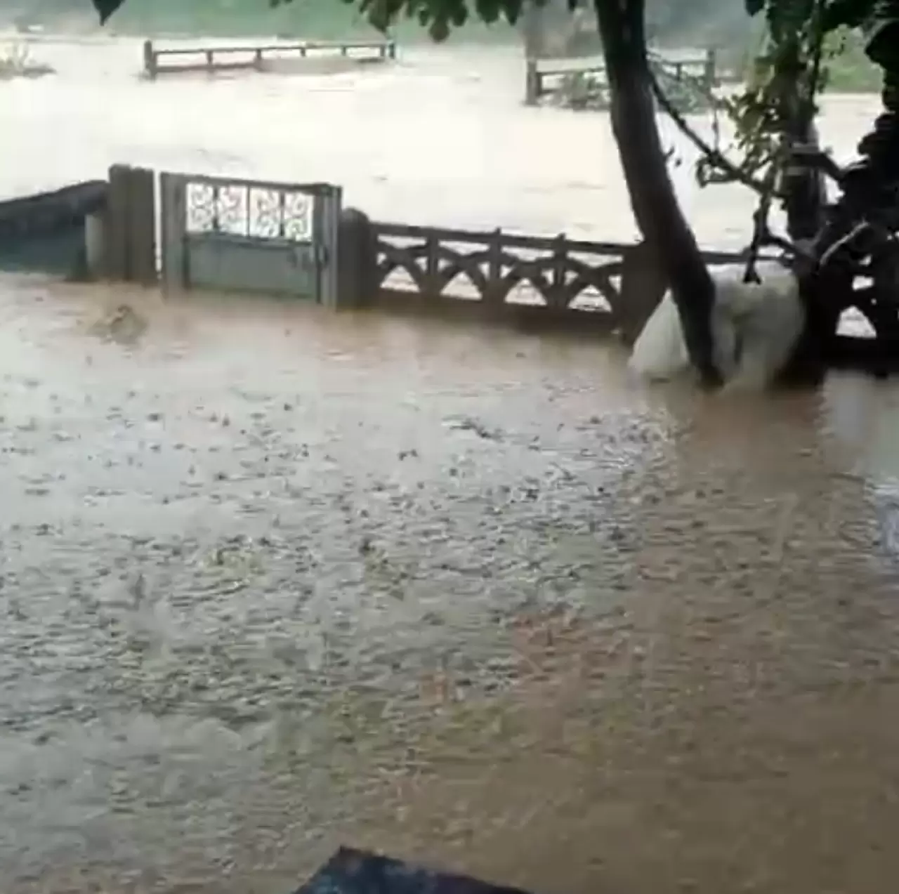 Sakarya’da felaketin bilançosu artıyor! Kocaali’de 60 bin tavuk telef oldu 4