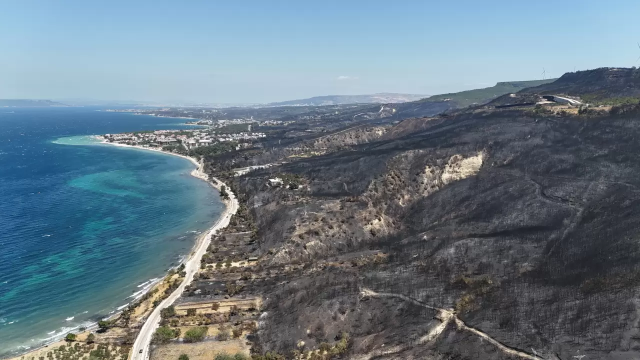Çanakkale'deki dev orman yangını sonrası yeşeren alanlar havadan görüntülendi 5