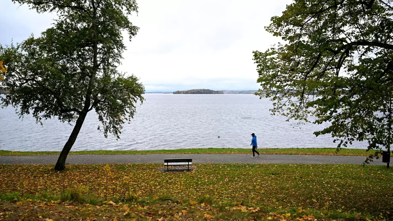Tampere kent sakinleri bu manzaranın tadını çıkarıyor 4