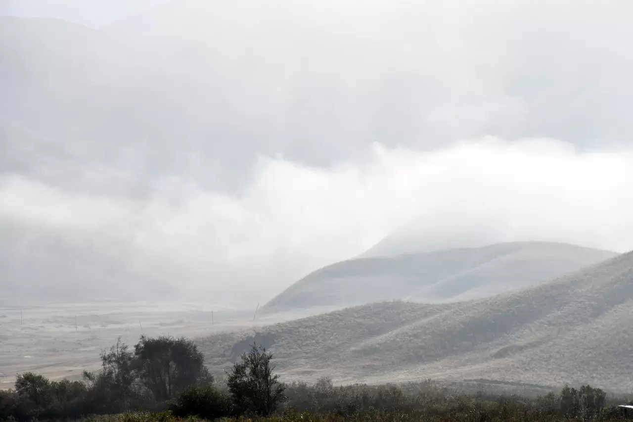 Şırnak Beytüşşebap’ta sis etkili oldu: Görüş mesafesi düştü 1