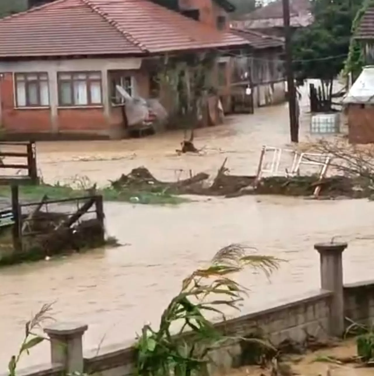Sakarya’da felaketin bilançosu artıyor! Kocaali’de 60 bin tavuk telef oldu 2