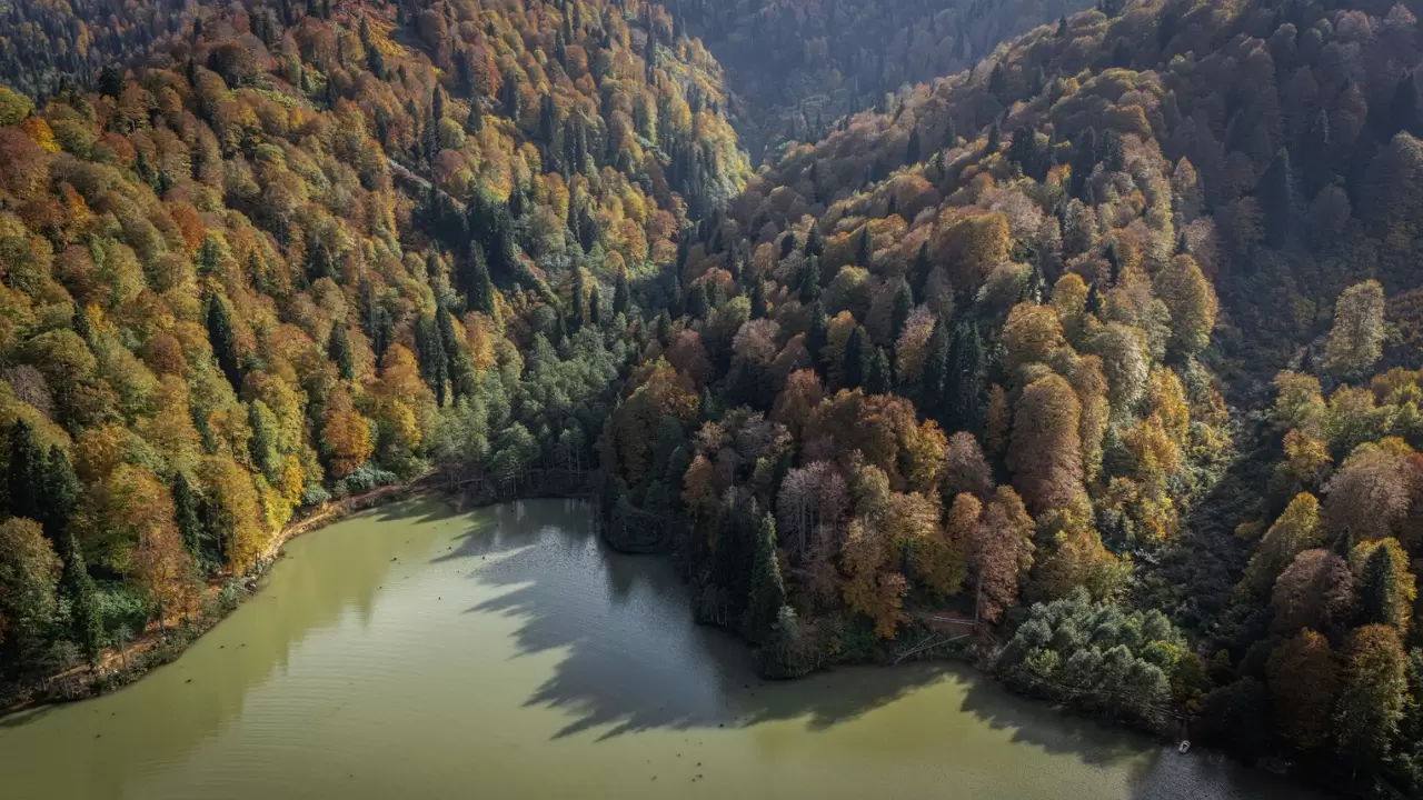 Artvin Borçka Karagöl’de sonbahar renkleri dronla görüntülendi 1