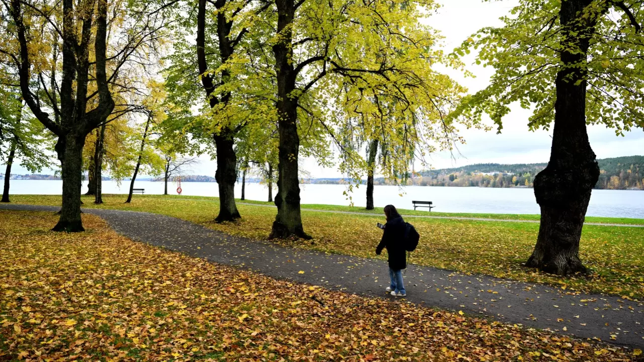 Tampere kent sakinleri bu manzaranın tadını çıkarıyor 2