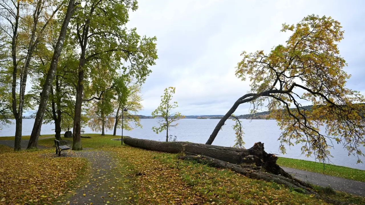 Tampere kent sakinleri bu manzaranın tadını çıkarıyor 6