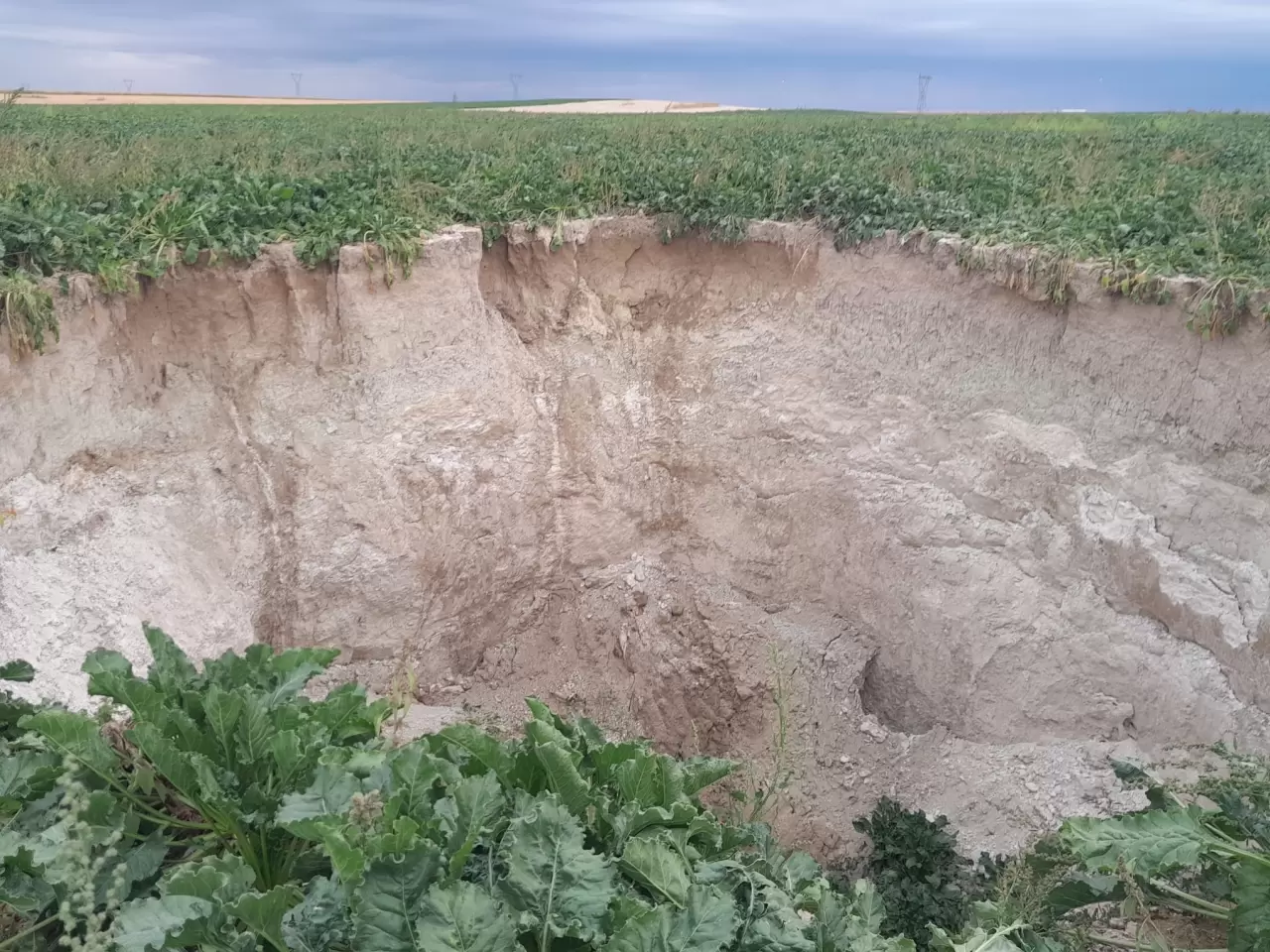 Karapınar'da pancar tarlasında korkutan görüntü! 15 metre çapında obruk oluştu 1