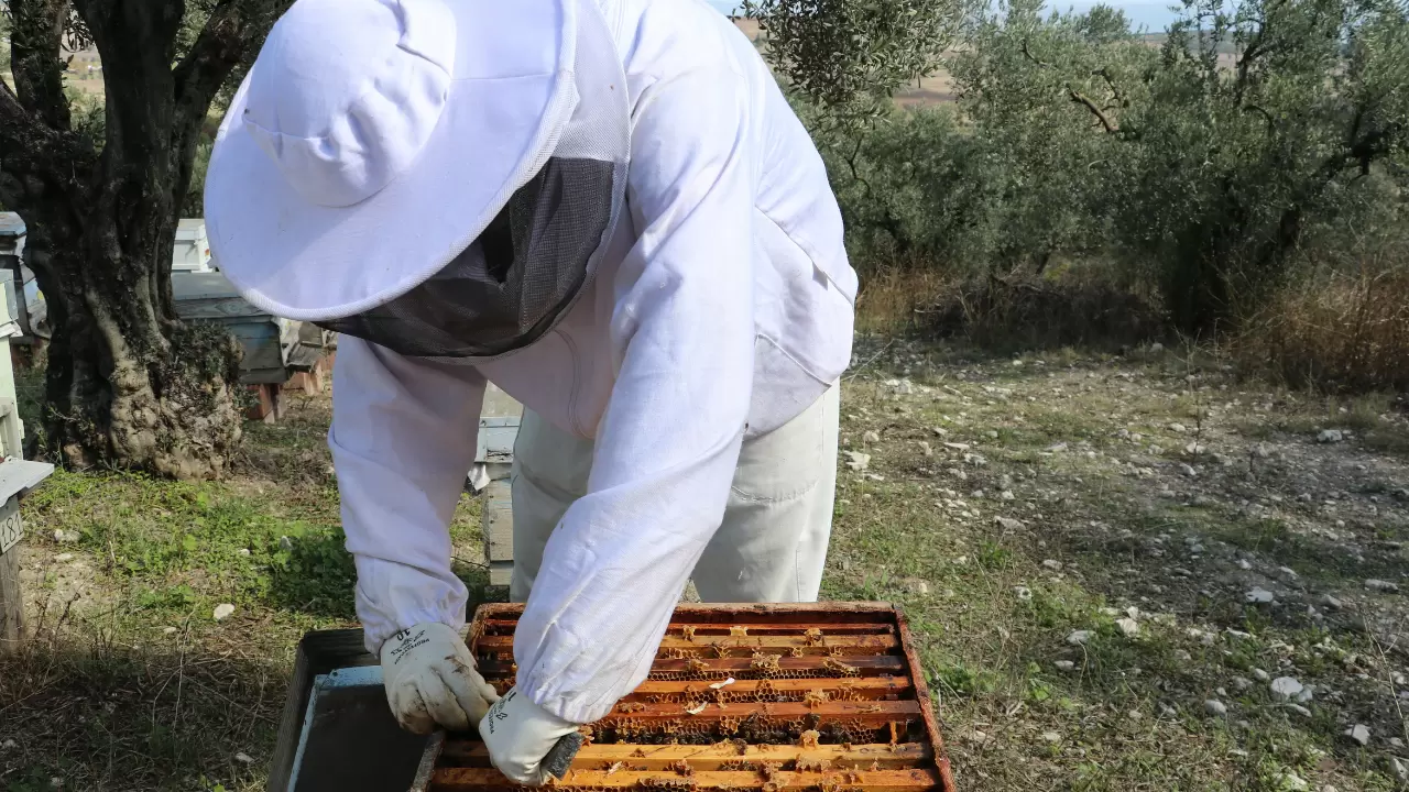 Altı yıllık teknoloji deneyimini arıcılıkla buluşturdu 2