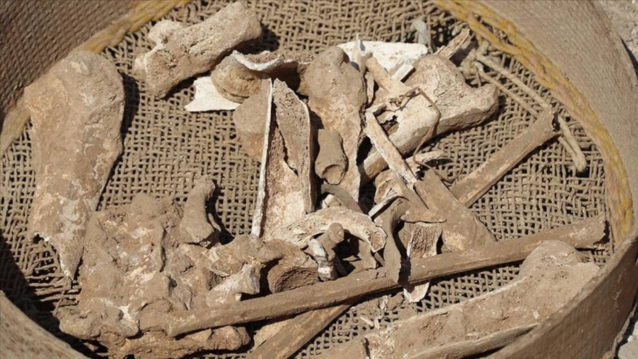 İngiltere'de 4 bin yıl önceden kalma kemiklerde 'yamyamlık' izleri - Politikyol