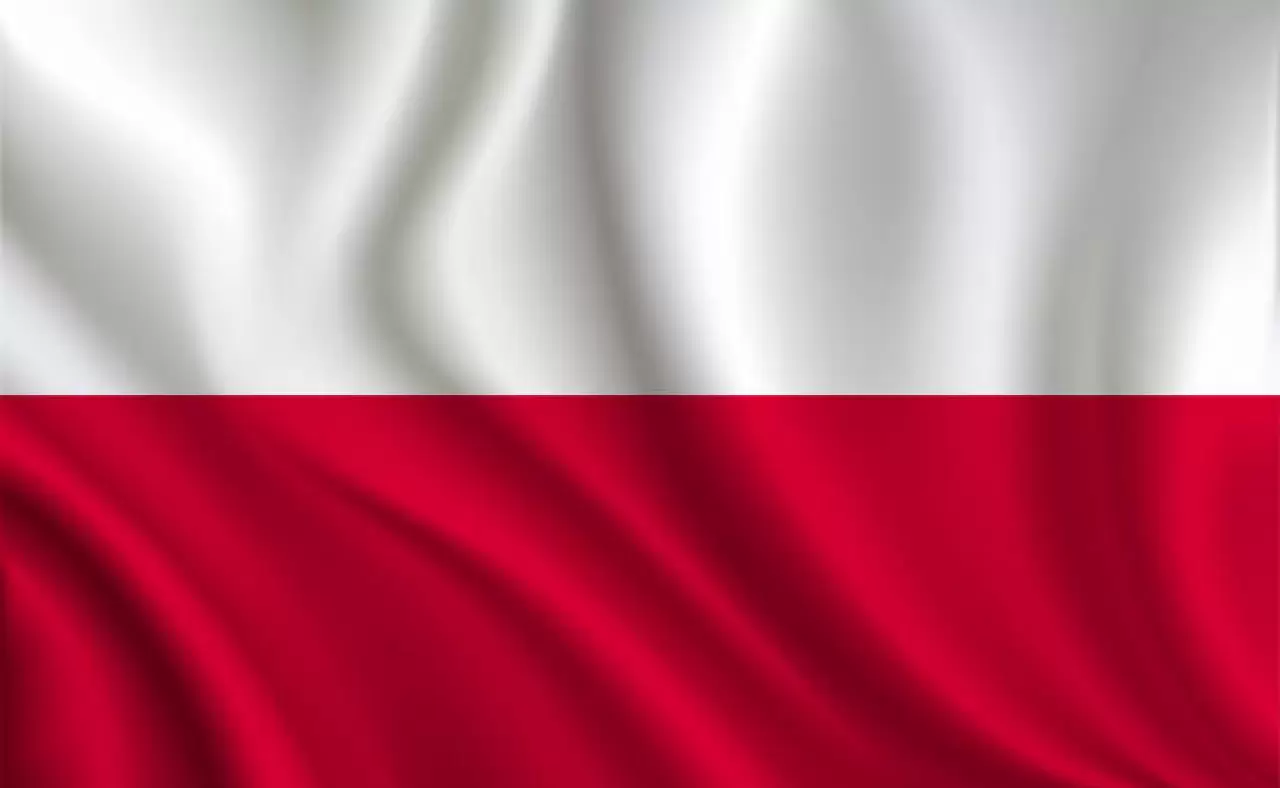 9.000+ Polonya Bayrağı Stok Fotoğrafları, Resimler ve Royalty-Free Görseller - iStock
