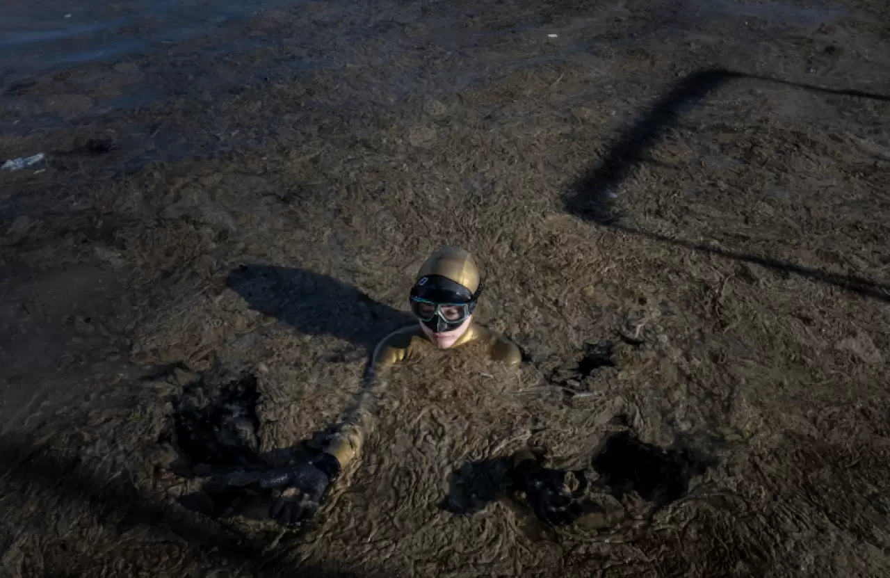 Şahika Ercümen müsilaja dikkati çekmek için Marmara'ya umut dalışı yaptı