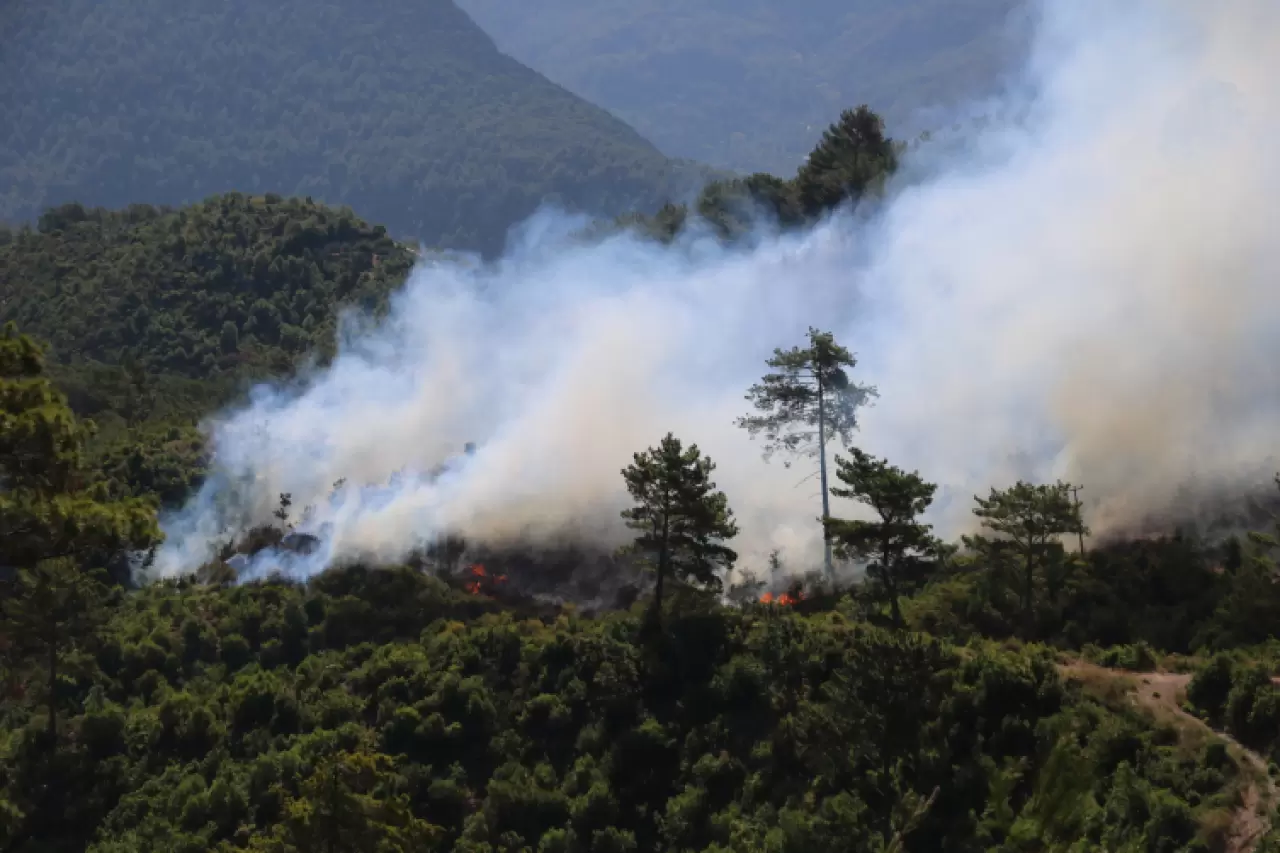 5 ilde orman yangını