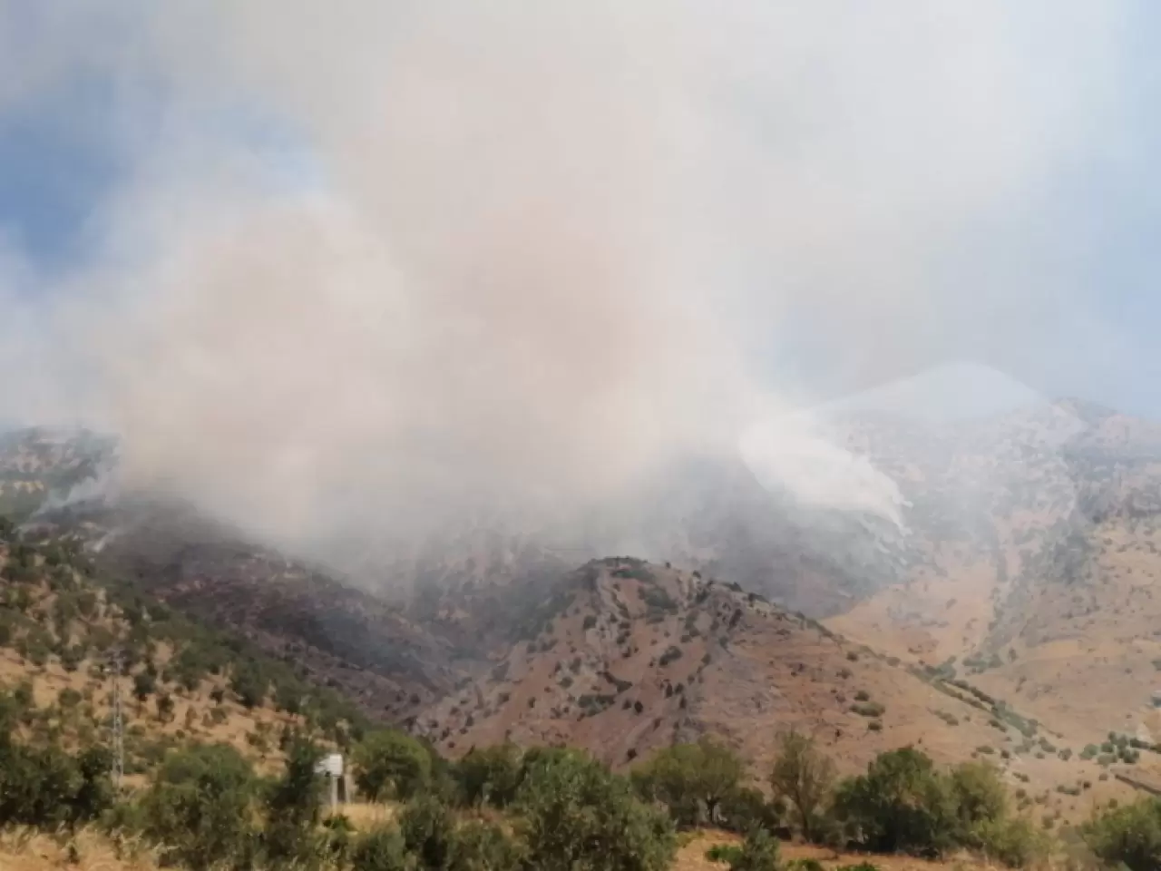 5 ilde orman yangını