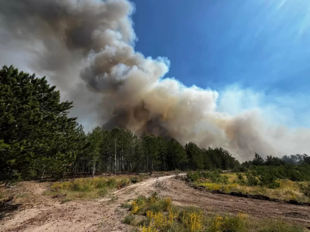 3 ilde orman yangını