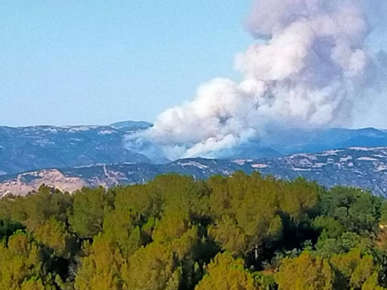 3 ilde orman yangını