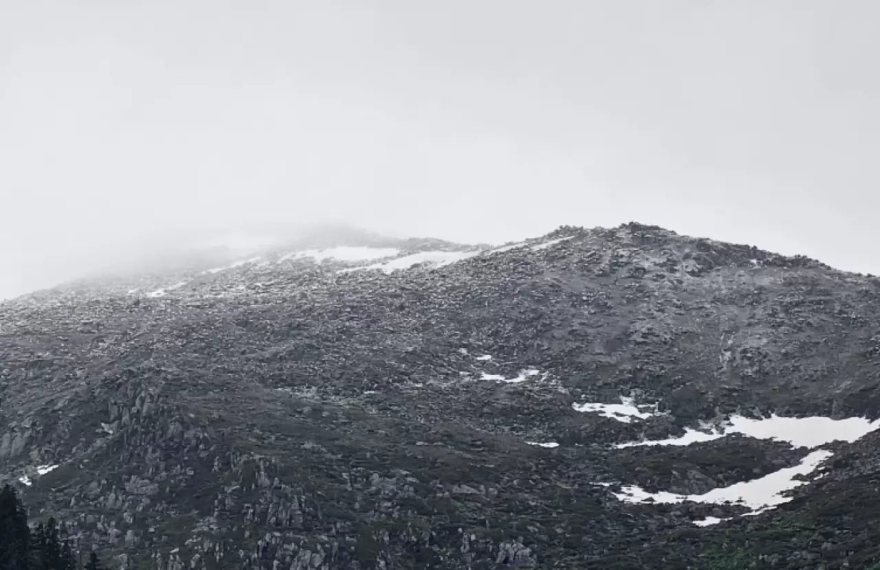 Rize ve Trabzon'un yüksek kesimlerine temmuz karı