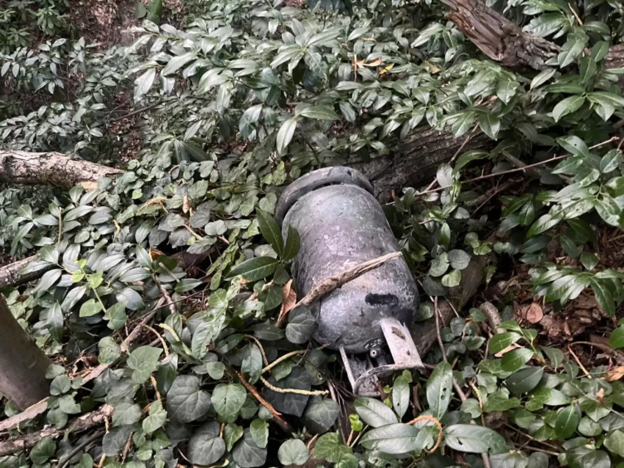 Sakarya'daki yangınla ilgili 2 kişi yakalandı