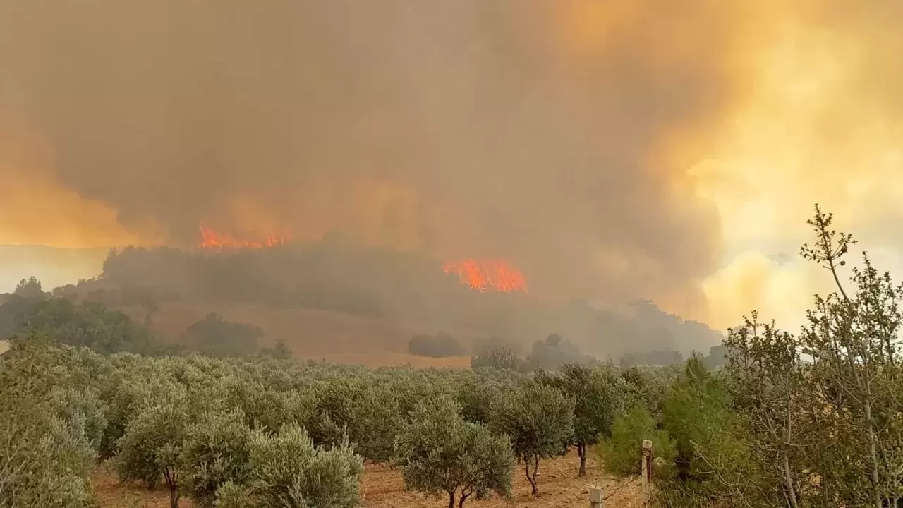 Denizli'de orman yangını: Müdahale sürüyor