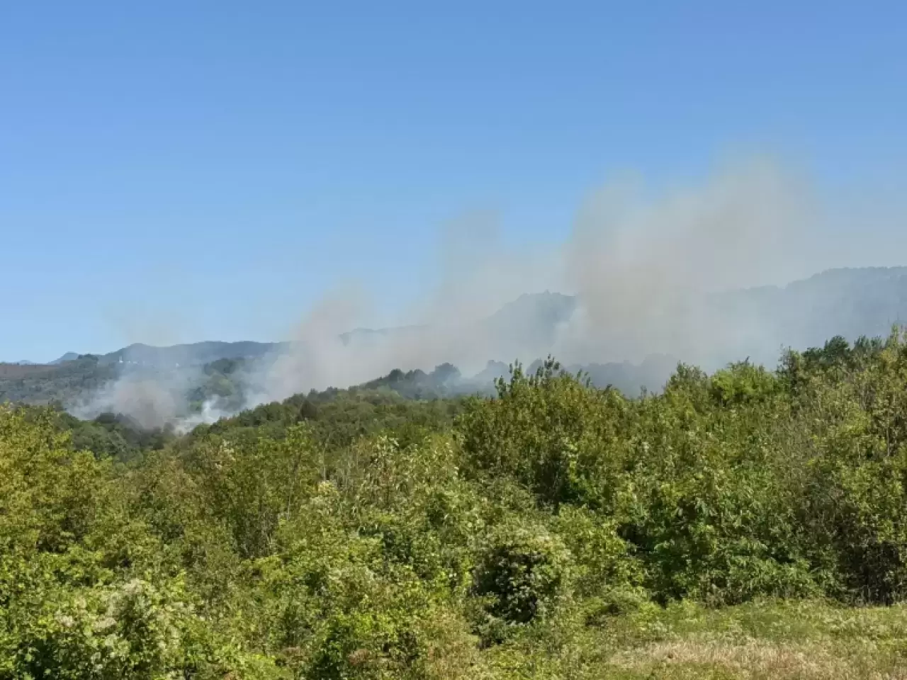 Orman yangınlarıyla mücadele sürüyor